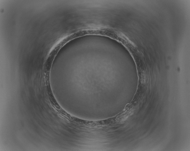 X0000063461208200601201237