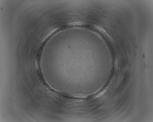 X0000063461209200601201237