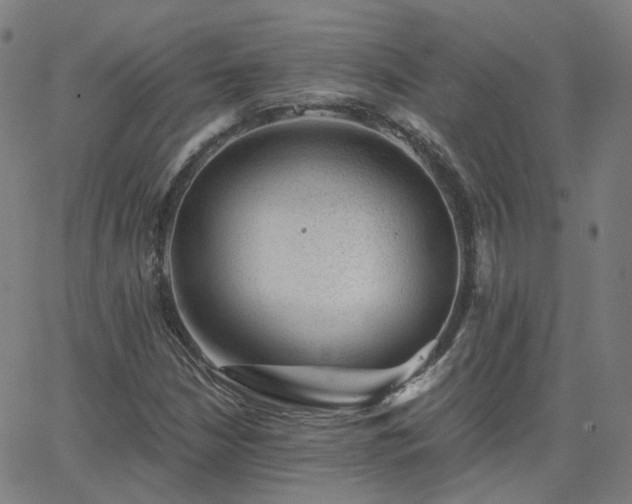 X0000063461210200601201237