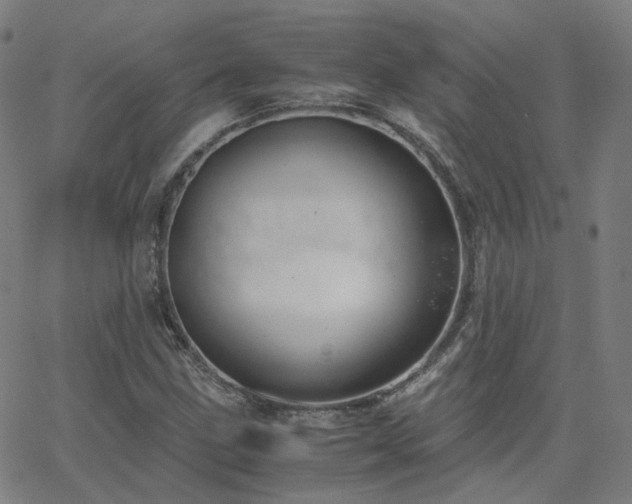 X0000063461211200601201237