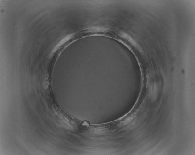 X0000063461213200601201237