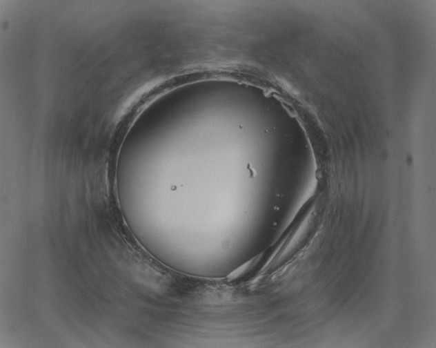 X0000063461214200601201237