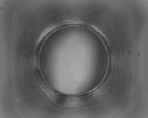 X0000063461215200601201237