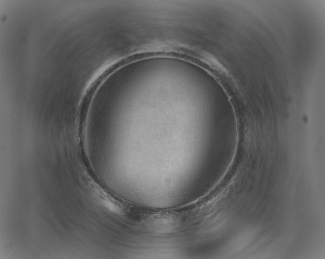 X0000063461216200601201237