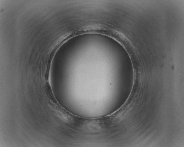 X0000063461217200601201237