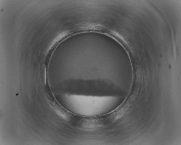 X0000063461219200601201237