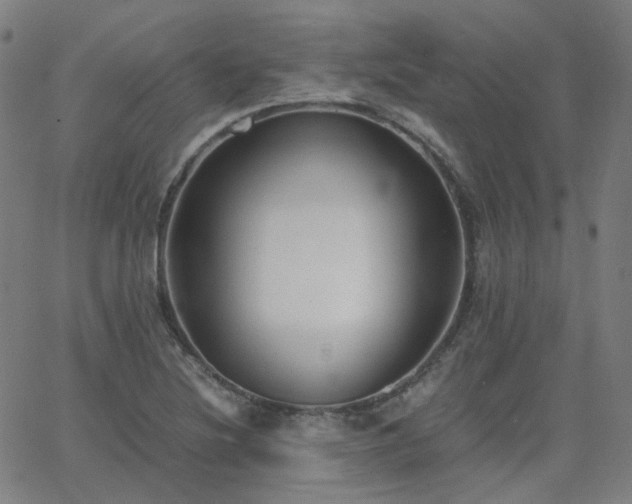 X0000063461220200601201237