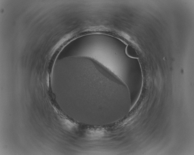 X0000063461221200601201237