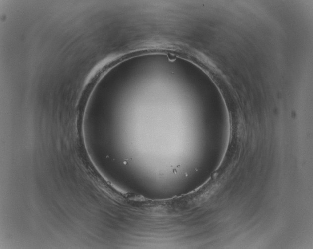 X0000063461222200601201237