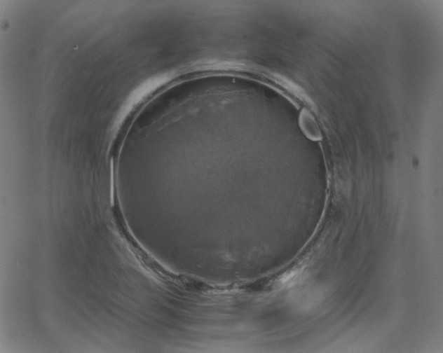 X0000063461223200601201237