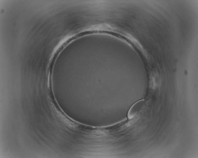 X0000063461224200601201237