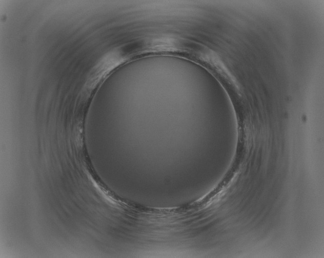 X0000063461225200601201237