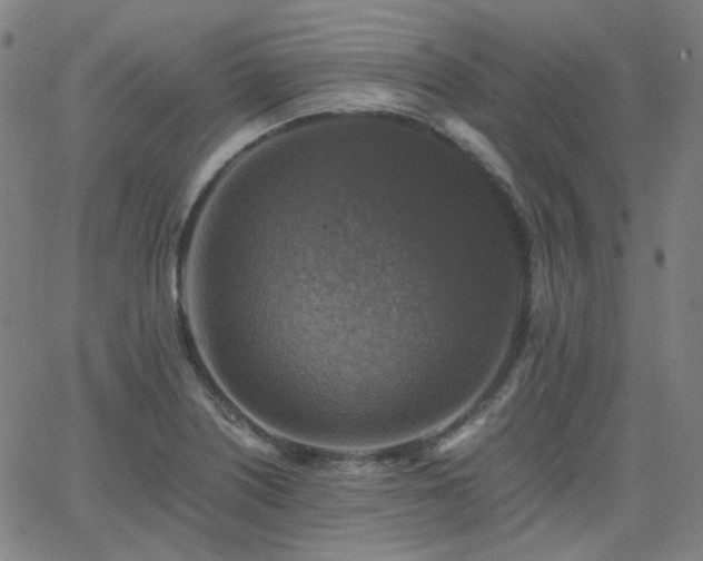 X0000063461226200601201237