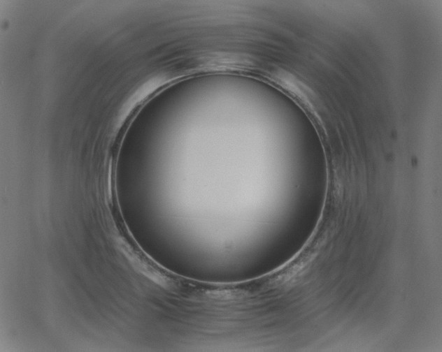 X0000063461227200601201237