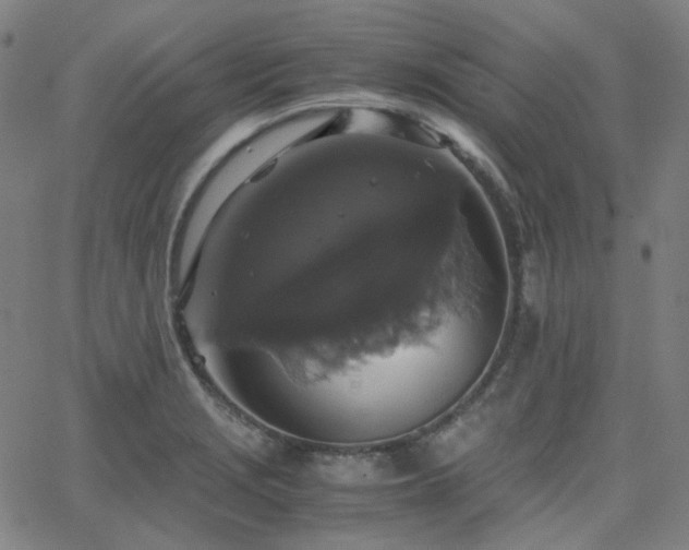 X0000063461229200601201237