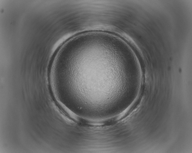 X0000063461230200601201237