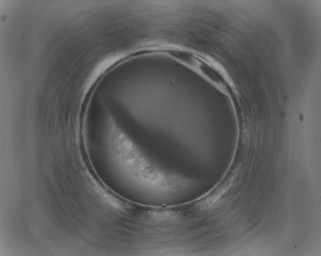 X0000063461231200601201237