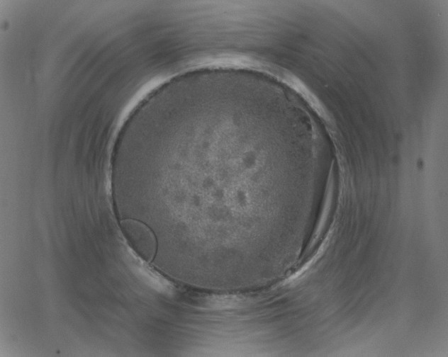 X0000063461232200601201237