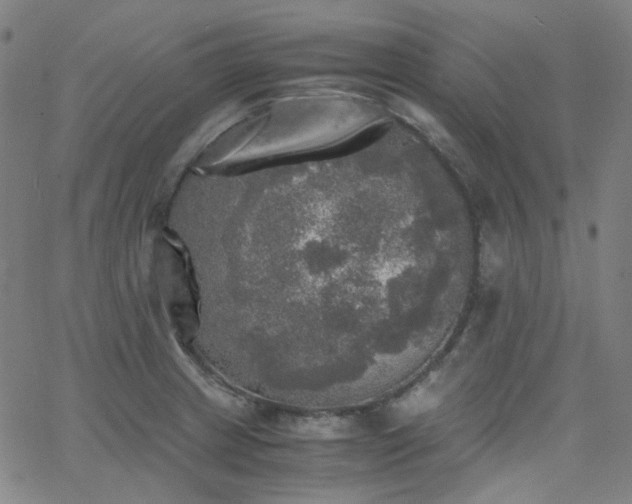 X0000063461233200601201237