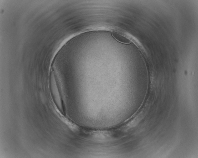 X0000063461236200601201237