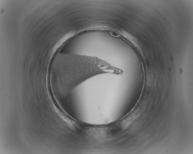 X0000063461237200601201237