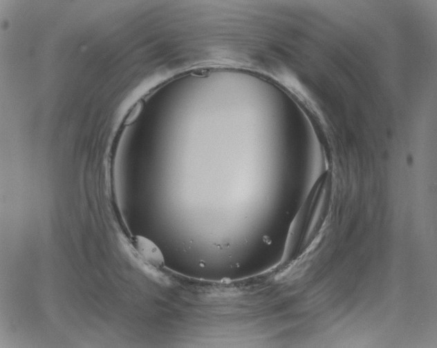 X0000063461238200601201238