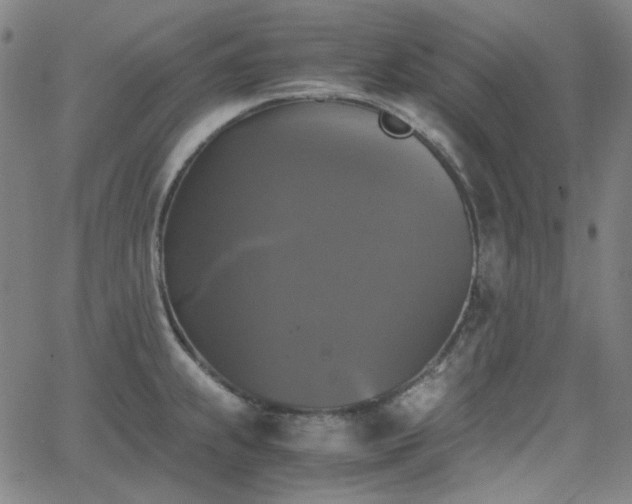 X0000063461239200601201238