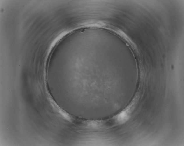 X0000063461240200601201238