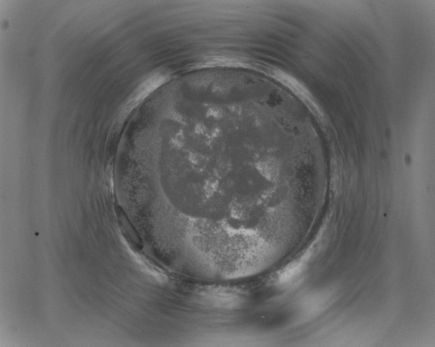 X0000063461241200601201238