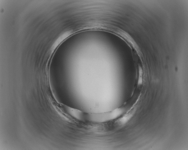 X0000063461242200601201238