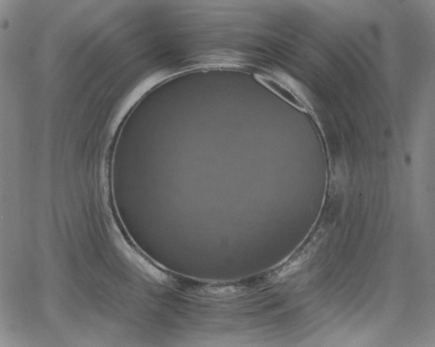 X0000063461243200601201238