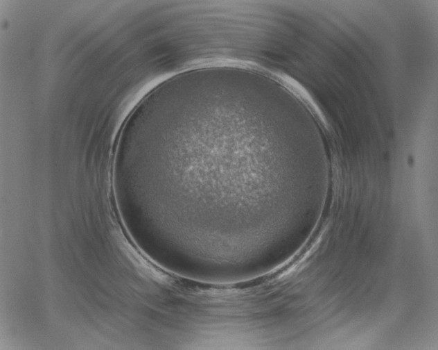 X0000063461244200601201238