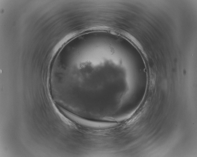 X0000063461245200601201238