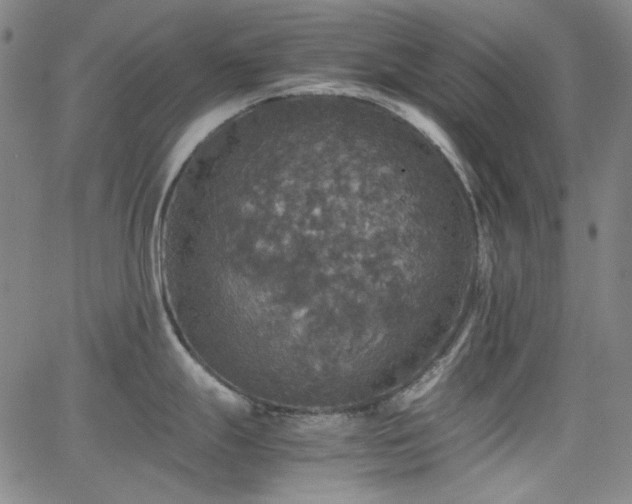 X0000063461247200601201238