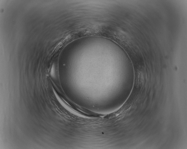 X0000063461250200601201237