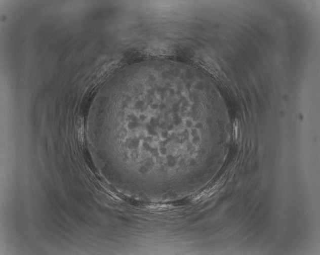 X0000063461251200601201237