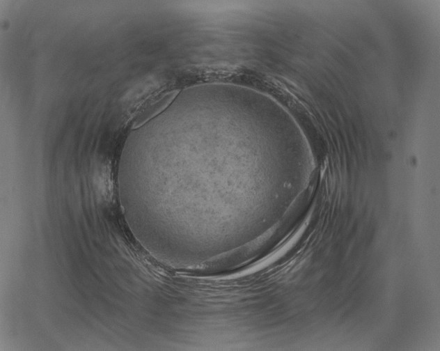 X0000063461252200601201237