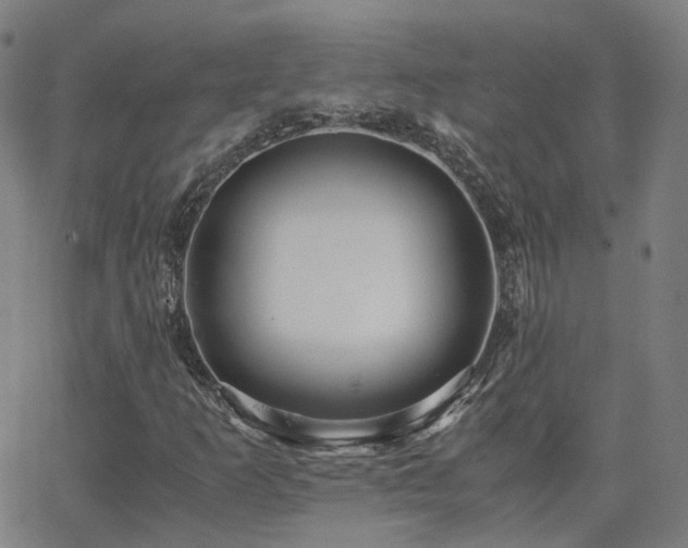 X0000063461253200601201237