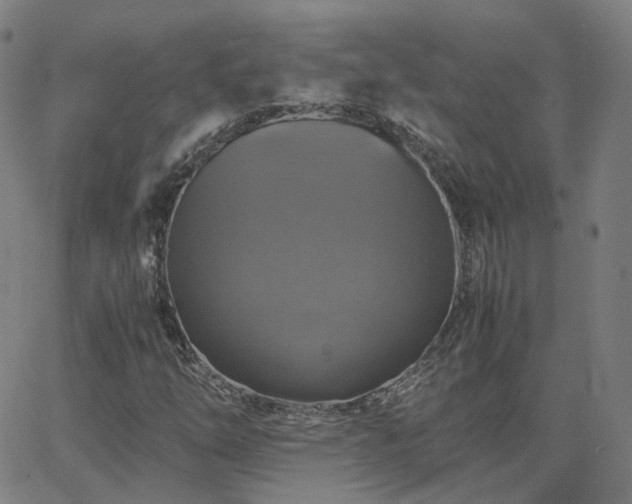 X0000063461254200601201237