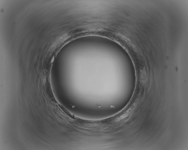 X0000063461257200601201237