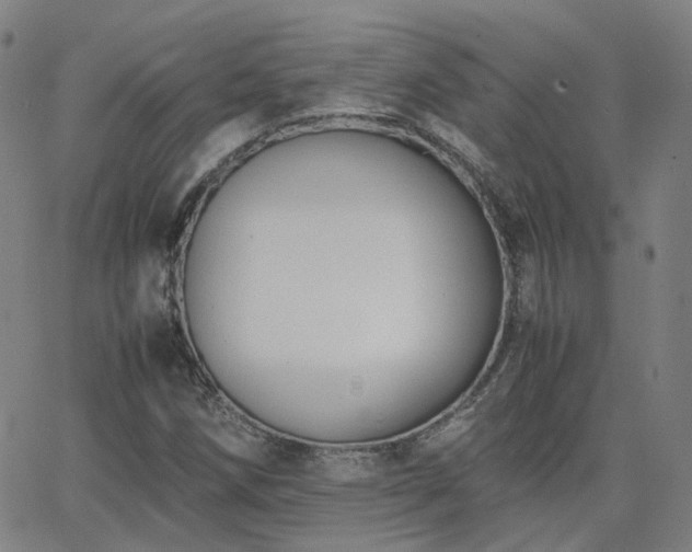 X0000063461258200601201237