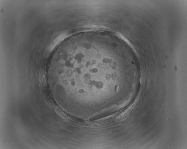 X0000063461259200601201237