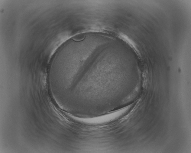 X0000063461260200601201237