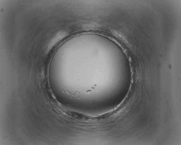 X0000063461261200601201237