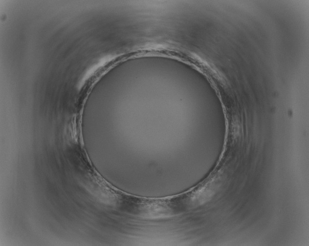 X0000063461262200601201237