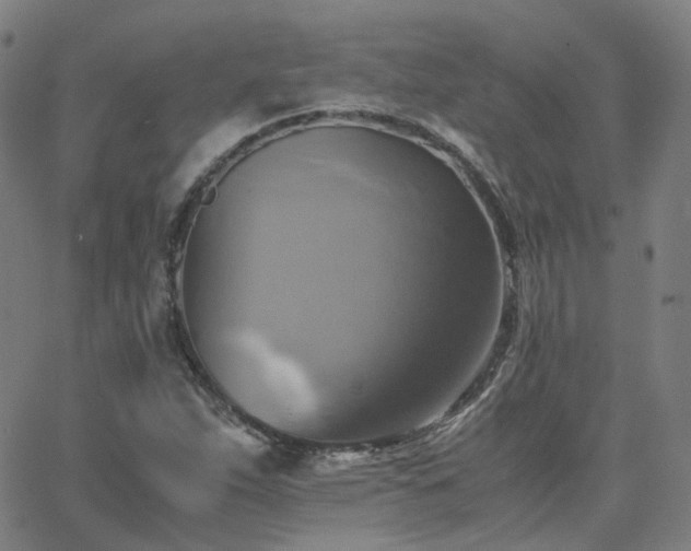 X0000063461263200601201237