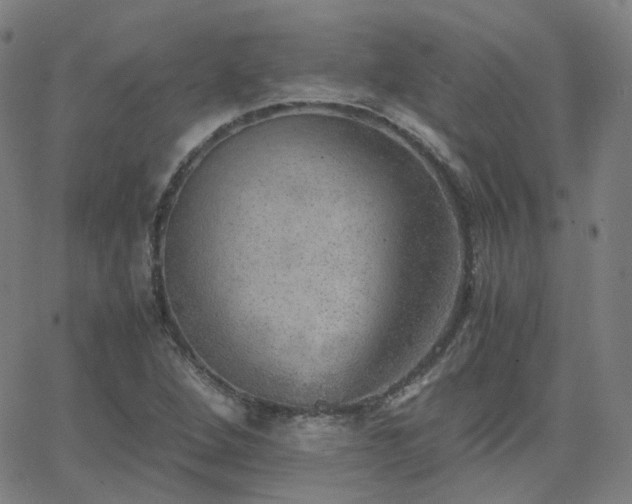 X0000063461264200601201237