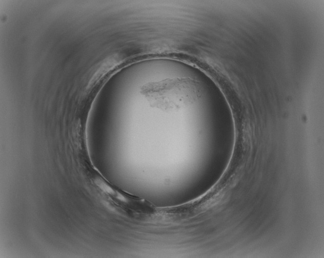 X0000063461265200601201237