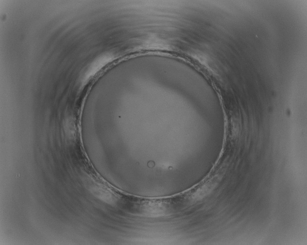 X0000063461266200601201237