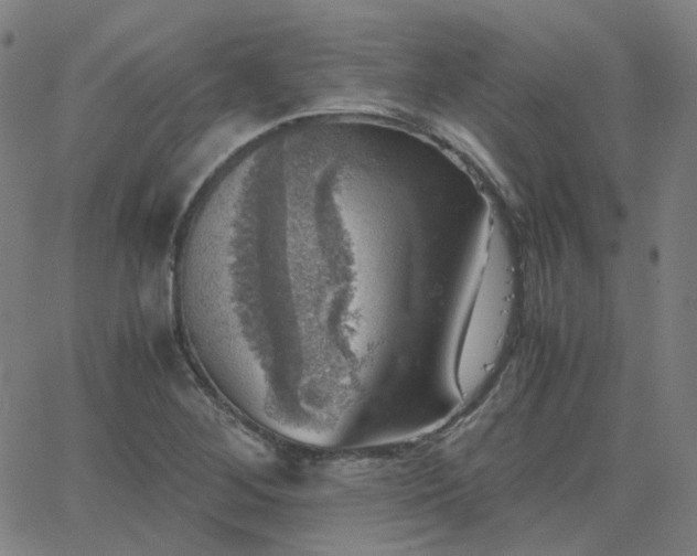 X0000063461268200601201237